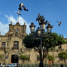 City Hall of Guadalajara